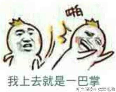 勇敢的贝尔塔经典读后感有感