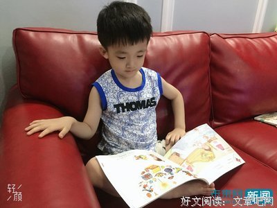 《小程序大能量》的读后感大全
