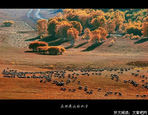 《在那遥远的地方》经典观后感集