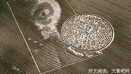 《麦田怪圈》经典影评集