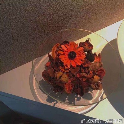 关于昂首挺胸的语句