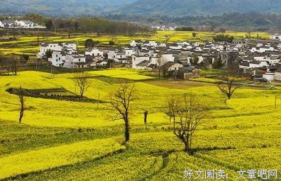 事去物生事去物于好风如后过了他桃花经典名句