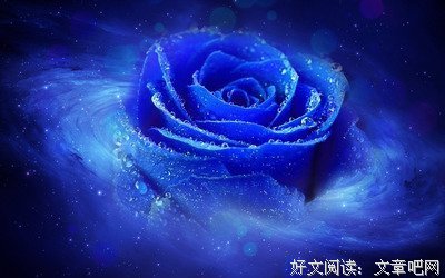有关散文小说的句子