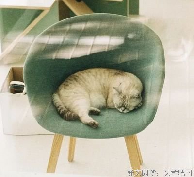 真实优美的句子