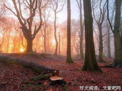 关于感伤的优美句子