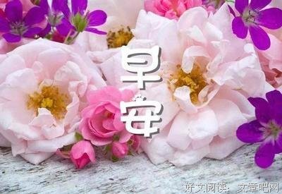 落红难缀 优美的句子