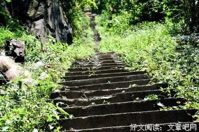 关于周箬的句子