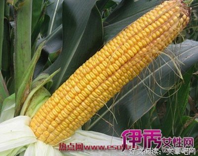最新的《一年生》好段摘抄