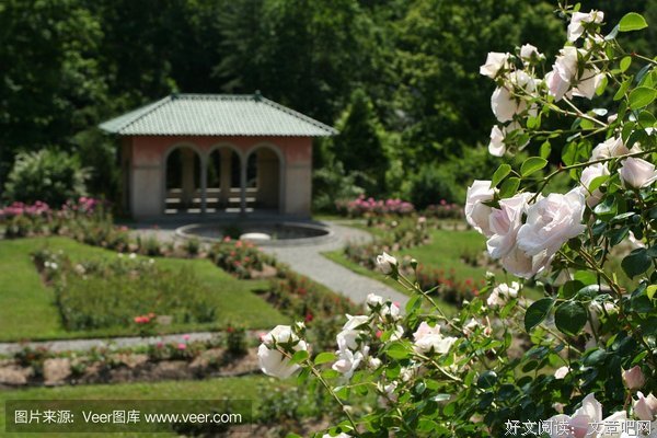 《哈德逊岸边的海德公园》影评100字