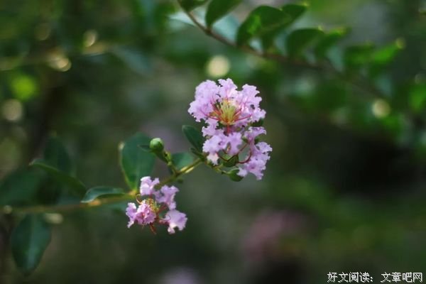 早春的心念