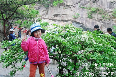 无话不说的名句_关于无话不说的名句