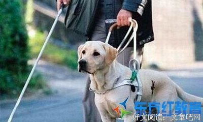 上帝笑了99次读后感100字