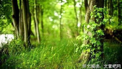 千言万语的语句摘抄_关于千言万语的语句