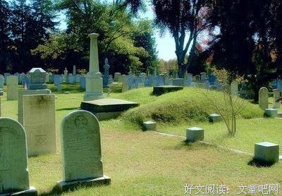《蒂莫西的奇异生活》观后感摘抄