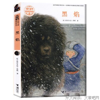 黑鹤读后感摘抄