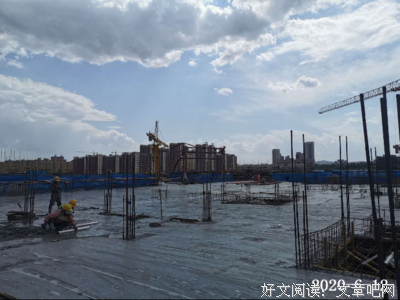 《明媚时光》经典影评有感