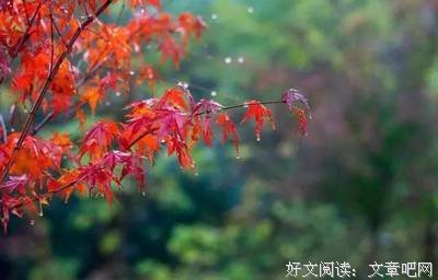 早知如此絆人心 何如當初莫相識好词好句