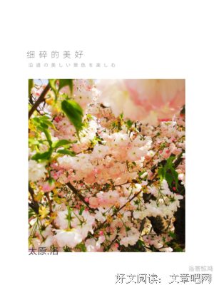 不负时光不负卿。优美的句子