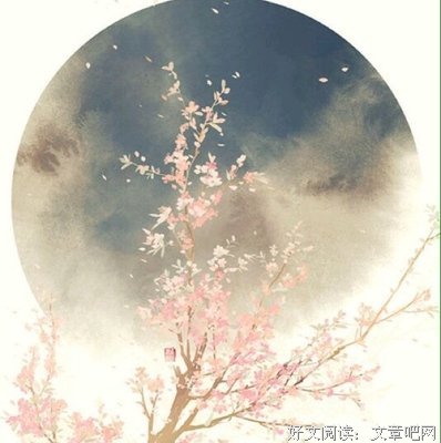 突然掉落的小甜饼。