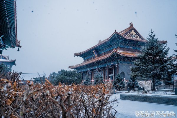 最经典的《万寿寺》经典句子