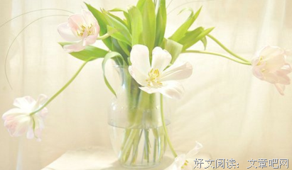 最全的《下雨天》经典语句