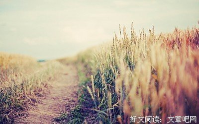 最新的《不哭了》好段摘抄