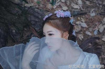 最新的《不省心》经典语句大全