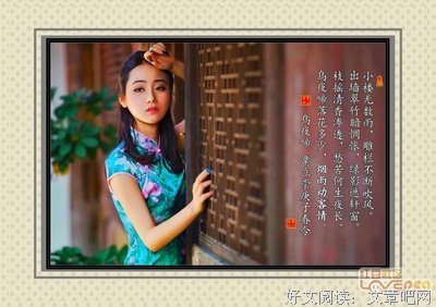 最新的《乌夜啼》经典语句