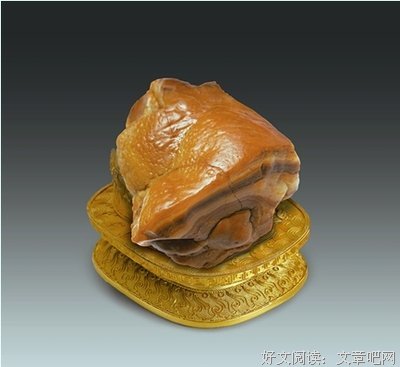 《肉类真相》的观后感大全
