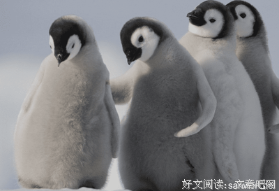 《波尔日记》观后感精选