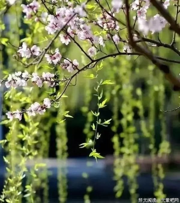 春光无限好，幸福正当时