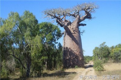 惊奇与怪异读后感1000字