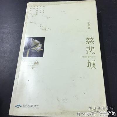 慈悲城经典读后感有感