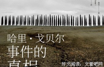 《哈里·戈贝尔事件的真相（全两册）》读后感100字