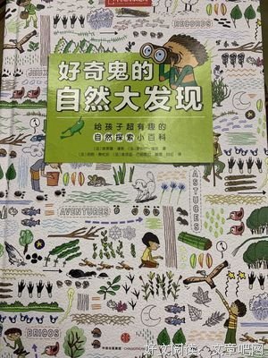 《我有一个大发现》读后感100字