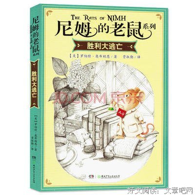 耗子大爷起晚了的读后感大全