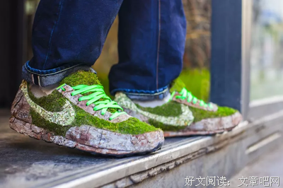 《发现五大洲的有趣植物（上）》读后感摘抄
