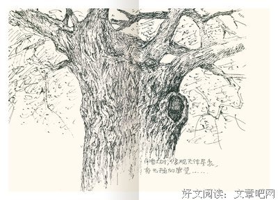 一蔸雨水一蔸禾经典读后感有感