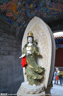 《观世音》影评精选