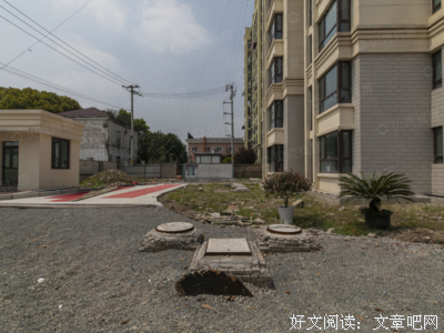 《海上传奇》经典观后感有感