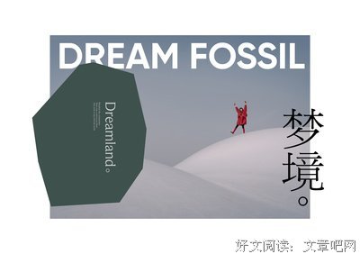 《梦的化石》经典读后感有感