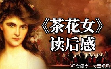 不一样的文学史读后感精选