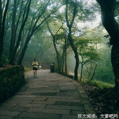 《朝圣之路》好看吗？经典影评锦集
