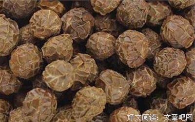 棠棣王朝读后感锦集