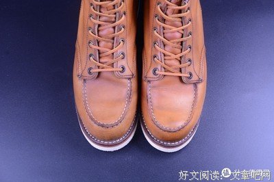 ~你若不离不弃，我必生死相依~名句欣赏