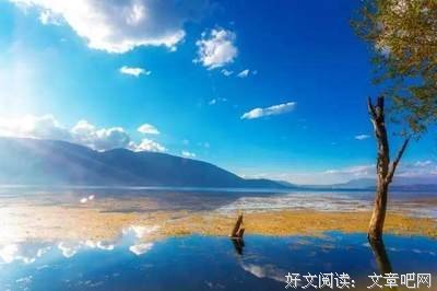 爱上事下并声个雨看多优美的句子