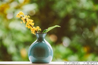 所谓生了物条句子大全