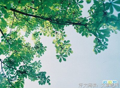 关于爱你是病的句子