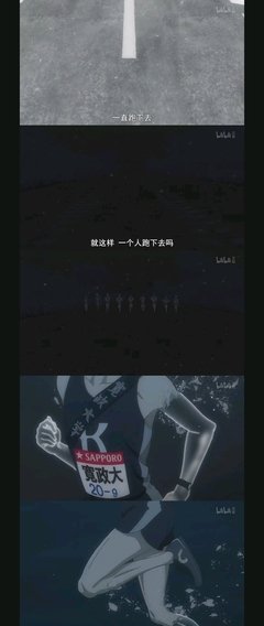关于纵有疾风起的句子