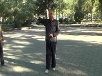 觉之于自和觉之于自的猫好词好句